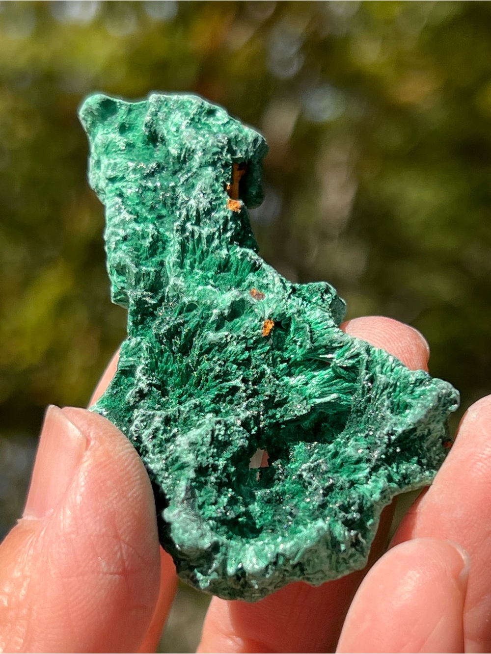 Malachite (16) specimen with stand | crystal